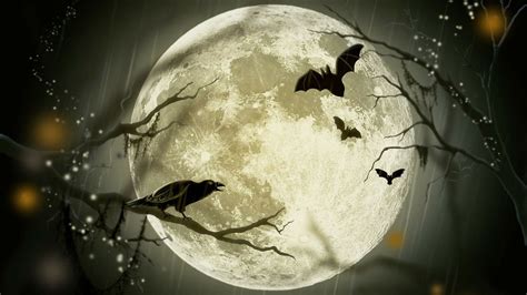 85 Background Zoom Halloween Images & Pictures - MyWeb