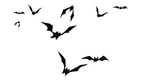 🔥 Download Ghostimps Bat Silhouette Black Creative Png by @tbutler ...