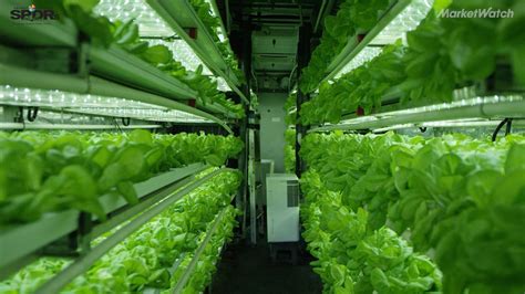 Here’s how indoor farming can help feed 9.1 billion people by 2050 ...