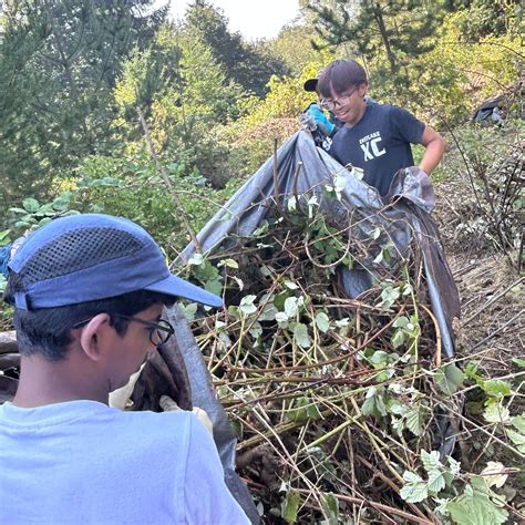 Sammamish Parks Restoration - Sammamish, WA | VolunteerMatch