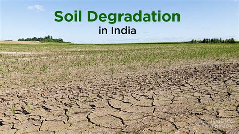 What is Soil Degradation in India - Causes & Solutions