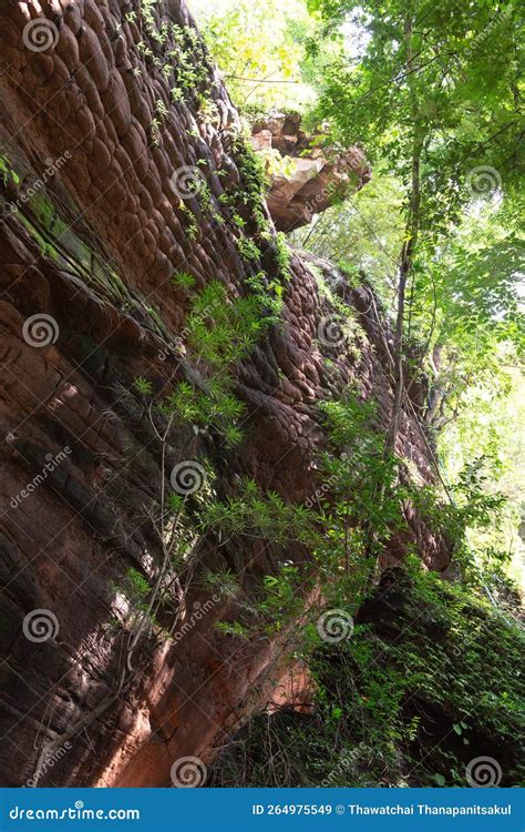 Naga Cave, Amazing of Naga Scales Rock Stone Mountain in Phu Langka ...