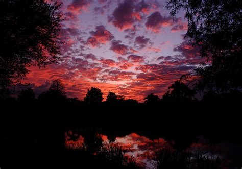 Show Clouds Sunrise/Sunset | Page 110 | Cameraderie Photography Forum