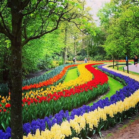 excursao-keukenhof - Ducs Amsterdam