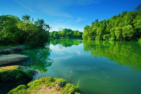 Landscape of river stock photo. Image of water, landscape - 27334880