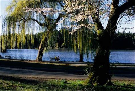 Lost Lagoon, Stanley Park. Vancouver