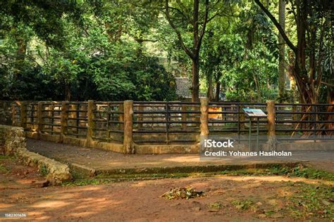 Capybara Breeding Cage That Looks Clean Natural And Comfortable Stock ...