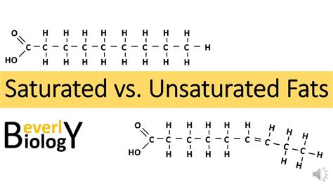 Fat Vs Saturated Fat - Gay Ass