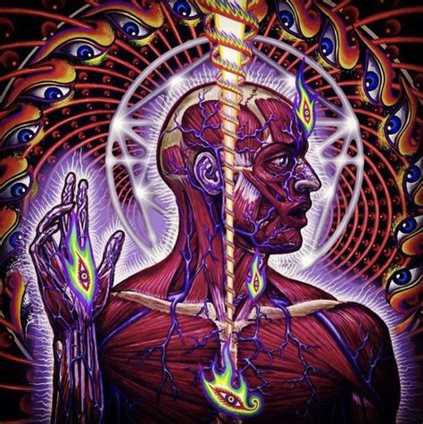 Pin by ThirdEye on TOOL | Tool band artwork, Tool band art, Tool artwork