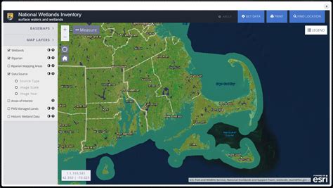 Use a Wetlands Map to Visualize the State of American Wetlands