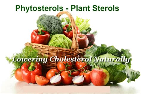 Phytosterols - Foods Source, Health Benefits, Supplements