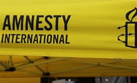 Government Criticizes Amnesty International Report - Chile Today