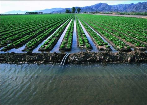 Methods of Irrigation - A Complete Guide.