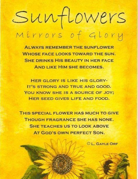 Pin by Lourian Johnson on Sunflowers ☀️ | Sunflower quotes, Sunflower ...