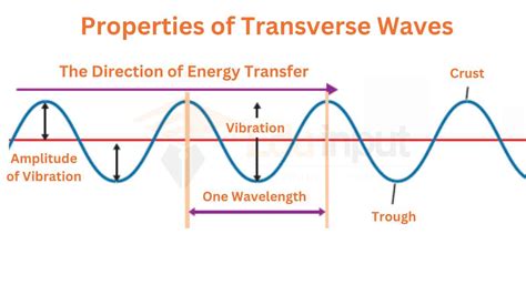 Transverse Waves-Examples, Diagram, And Properties