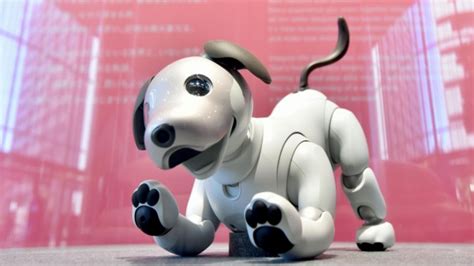 Sony starts sales of AI-equipped robot dog Aibo