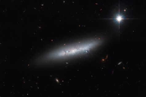 Hubble Sees Spectacular Irregular Galaxy | Sci.News