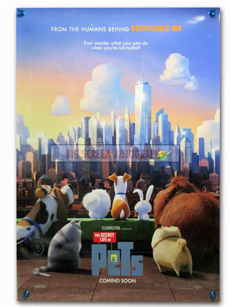 The Secret Life Of Pets signed one sheet poster | Big Screen Autographs