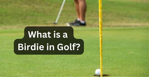 What is a Birdie in Golf? (How to Make & Random Facts)