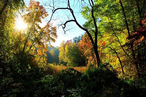 A Place in the Sun Photograph by Mary Walchuck - Fine Art America