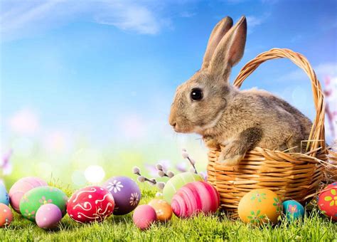 Where did the Easter Bunny and Easter eggs come from? - Interesting Answers