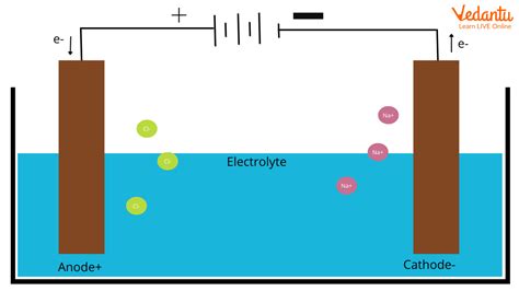 Cathode and Anode – Definition and Difference Between Anode and Cathode