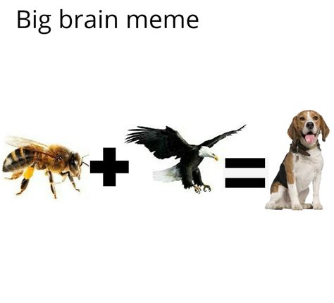 Whole new meaning to birds and the bees : r/memes