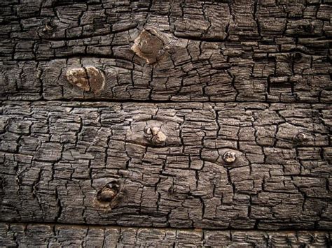 Burnt wood texture | Copyright-free photo (by M. Vorel) | LibreShot ...