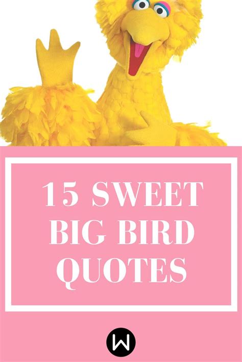 sesame street life quotes - Elayne Burgos