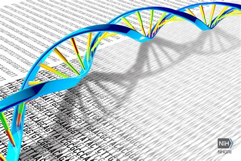 Next-Generation Sequencing Validation Research Selected by ASCO