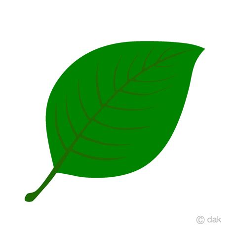 Clip Art Green Leaf