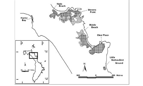 Location of the nesting grounds of the flesh-footed shearwater on ...