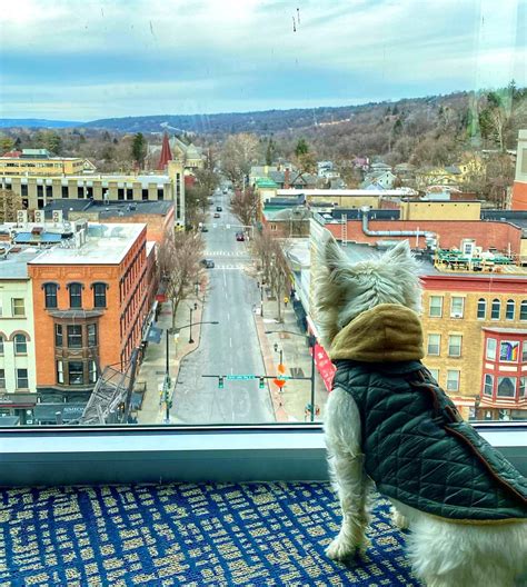 Pet-Friendly Hotels in Ithaca, NY | Hotels, B&Bs & Camping