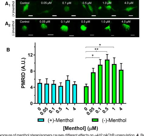 Figure 1 from Menthol Stereoisomers Exhibit Different Effects on α4β2 ...