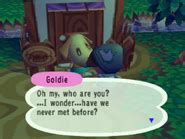 Goldie | Animal Crossing Wiki | FANDOM powered by Wikia