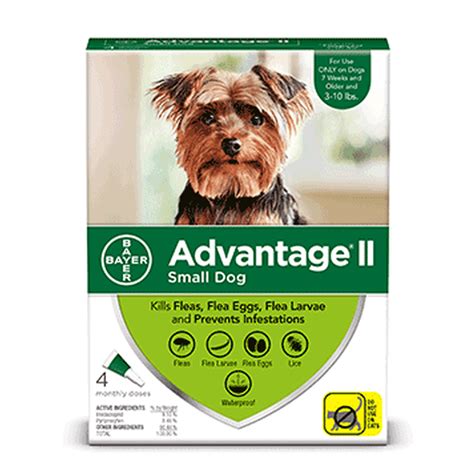 Advantage II Flea Prevention for Small Dogs, 4 Monthly Treatments ...