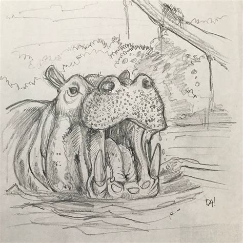 Original sketch drawing on random paper Hippo by Michigan | Etsy in ...