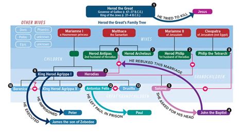 Herod the Great and the Herodian Family Tree