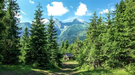 mountains, forest, trees Wallpaper, HD Nature 4K Wallpapers, Images and ...