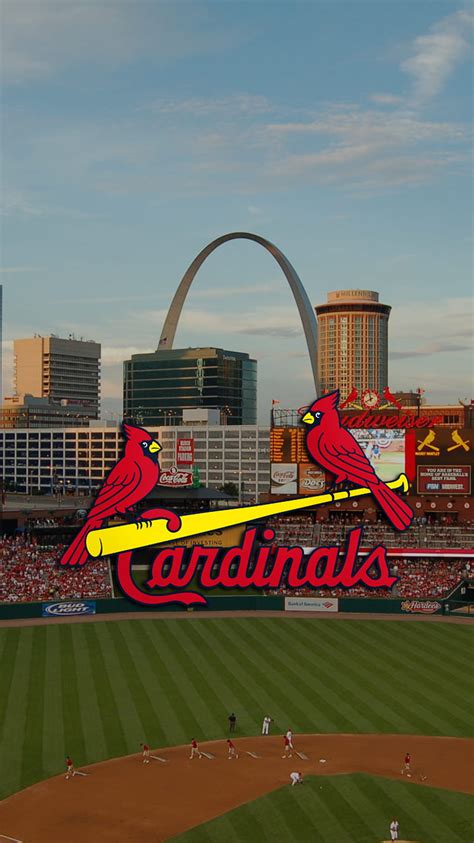 Sports, Logo, Baseball, St Louis Cardinals, Mlb, HD wallpaper | Peakpx