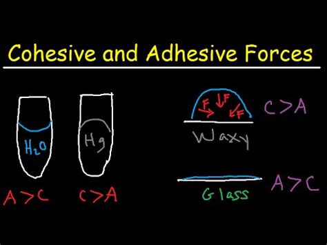 Différence Entre Les Forces Adhésives Et Cohésives | Chimie inorganique ...