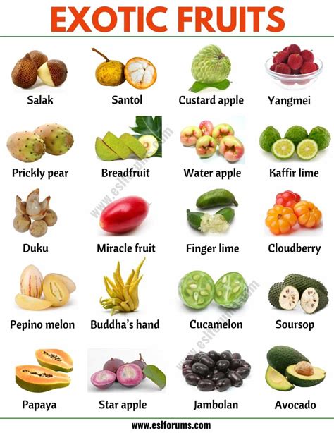 Exotic Fruits: List of 45+ Exotic Fruits From All Around the World ...