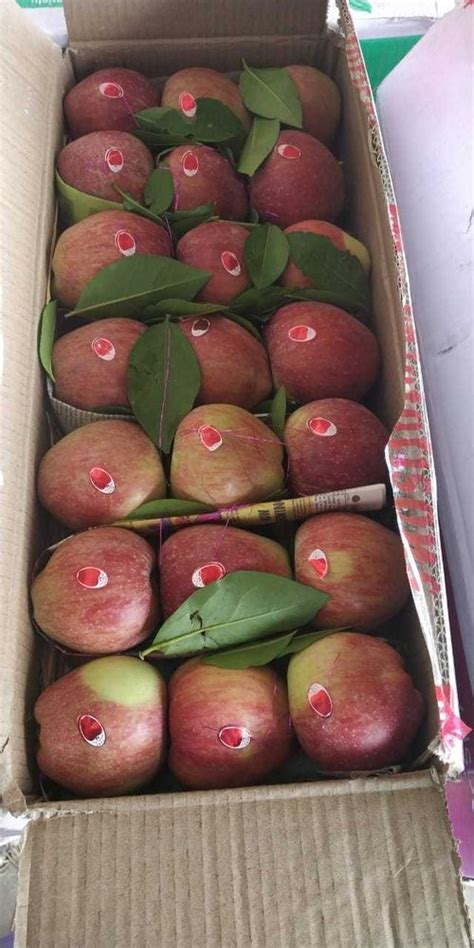 Kashmir Apple, Packaging Size: 20 Kg, Packaging Type: Wood Box at Rs ...