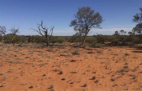 Deserts and xeric shrublands – Australian Acoustic Observatory | A20