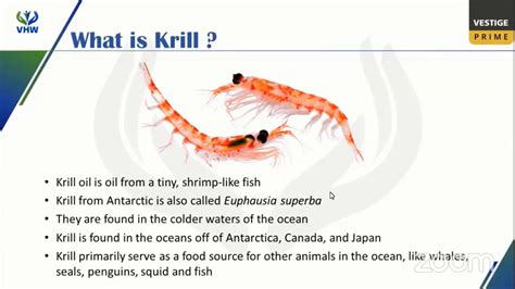 KRILL OIL - YouTube