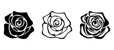 White Rose Outline With Black Background