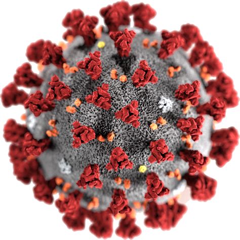 Coronavirus PNG