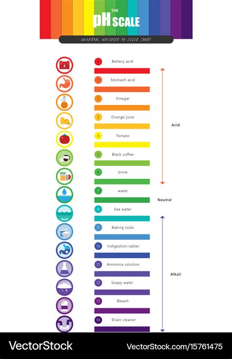 Ph scale universal indicator color chart Vector Image