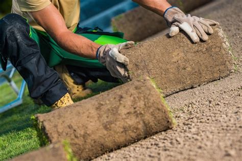 Premium Photo | Backyard garden turf grass installation