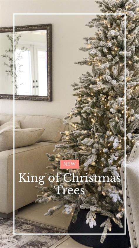 King of Christmas Trees [Video] | Christmas tree, Christmas tree ...